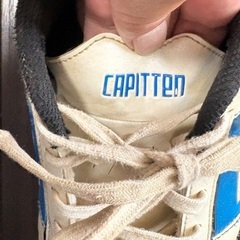 イニエスタCAPITTEN 24cmの画像
