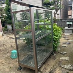 ガラス温室