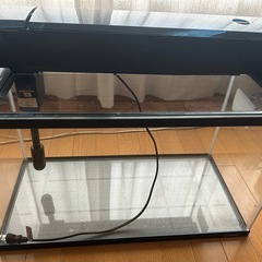 コトブキ　60cm水槽