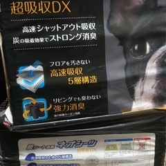 ネオシーツ 超吸収DX レギュラーサイズ