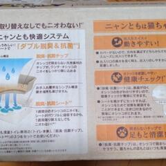 猫　トイレの画像