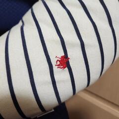 マタニティ抱き枕 授乳クッションの画像