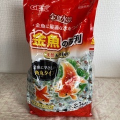 金魚の砂利