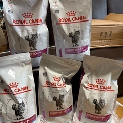 猫 ロイヤルカナン 腎臓サポート