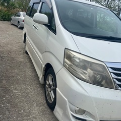 Toyota Alphard の画像