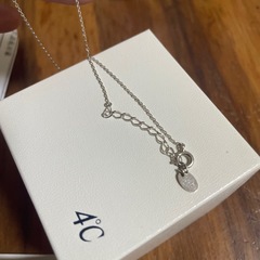 ４℃エターナルシルバーネックレスの画像