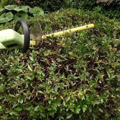 生け垣バリカン(植木バリカン)　庭木に剪定に威力あり ヘッジトリ...