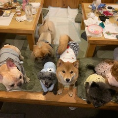 アルバイト募集中！板橋区高島平です〜！の画像