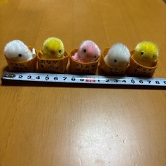 箱に入った🐥　5羽　マスコット