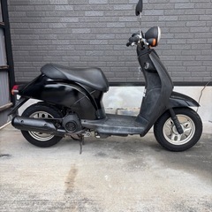 原付　ホンダ トゥデイ　