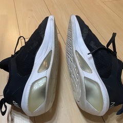 配達可能 NIKE エアマックス フライ　26.5cmの画像
