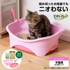 子猫 システムトイレ