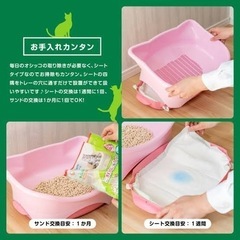 子猫 システムトイレの画像