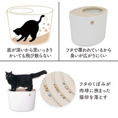猫 トイレの画像