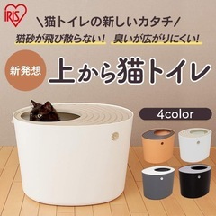 猫 トイレ