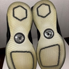 エアージョーダン33 PF 28cm 箱付き  の画像