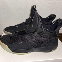 エアージョーダン33 PF 28cm 箱付き  の画像