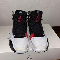 エアージョーダン34 PF 28cm 箱付きの画像