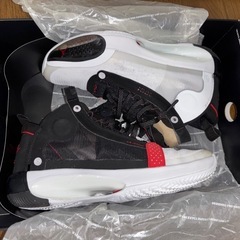 エアージョーダン34 PF 28cm 箱付きの画像