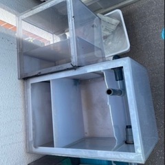 アルビノクロコ淡水エイ無料濾過槽