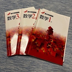 新中学問題集（受験対策）