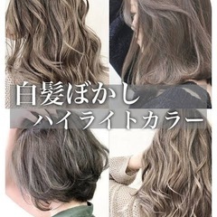 🌟ハイライトセミナーモデル募集🌟