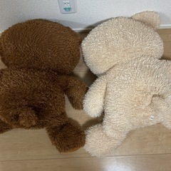 大きな　クマのぬいぐるみ　2種の画像