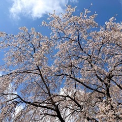 長くお付き合いしていけるような価値観近い友達を探してます。