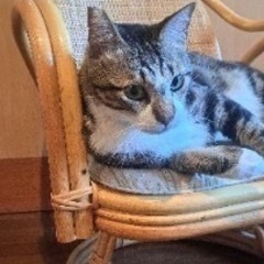 ３歳の男の子 − 大分県