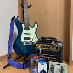 初心者🔰おすすめ　ARIA Pro II エレキギター　セット