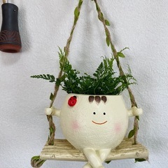 植物　吊るすタイプ　ダバリア　の画像
