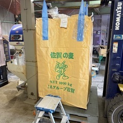 R7年産大麦の画像