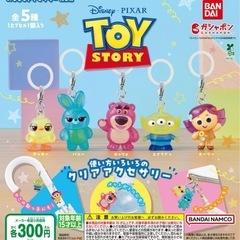トイストーリー　めじるしアクセサリー　