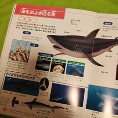 図鑑☆さかなとみずのいきものの画像