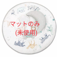 ベビージム　アクティビティジム