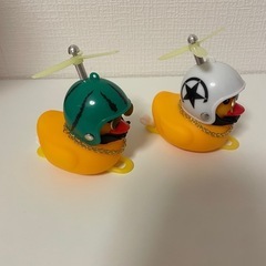 変わった可愛いアヒルさんの画像