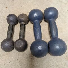 鉄アレイ 2種