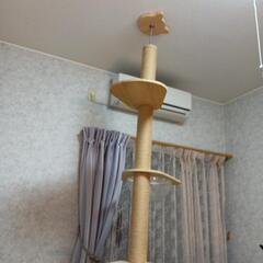 猫タワー
