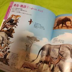 小学館☆くらべる図鑑の画像