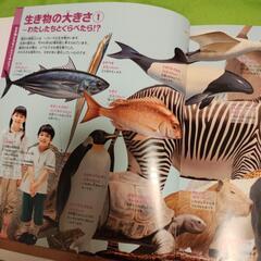 小学館☆くらべる図鑑の画像