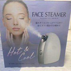 フェイススチーマー