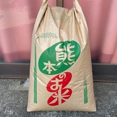 山鹿令和６年産ヒノヒカリ　精米済み10キロ