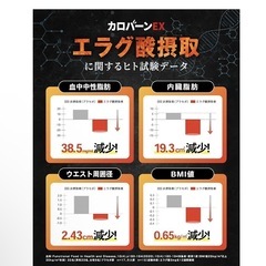 30日分 肥満気味の方の体重 体脂肪の減少を助ける 血中中性脂肪 内臓脂肪  応援 国内生産の画像