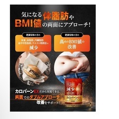 30日分 肥満気味の方の体重 体脂肪の減少を助ける 血中中性脂肪 内臓脂肪  応援 国内生産の画像