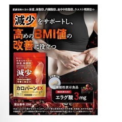 30日分 肥満気味の方の体重 体脂肪の減少を助ける 血中中性脂肪 内臓脂肪  応援 国内生産の画像