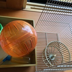 ハムスター用ケージの画像