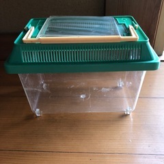 虫かご　飼育容器