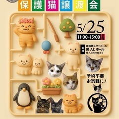 🐱ねこまる😺保護猫譲渡会🐈💕💕✨✨ファミーユ尾ノ上ホール