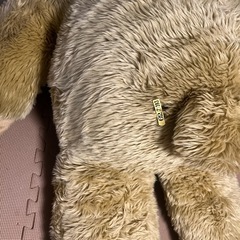 テディーベアー　ビッグ　約1mの画像