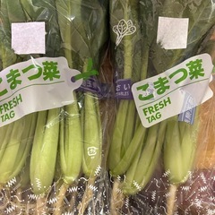 【小松菜】お安く譲ってください┏(I：)ペコ♪